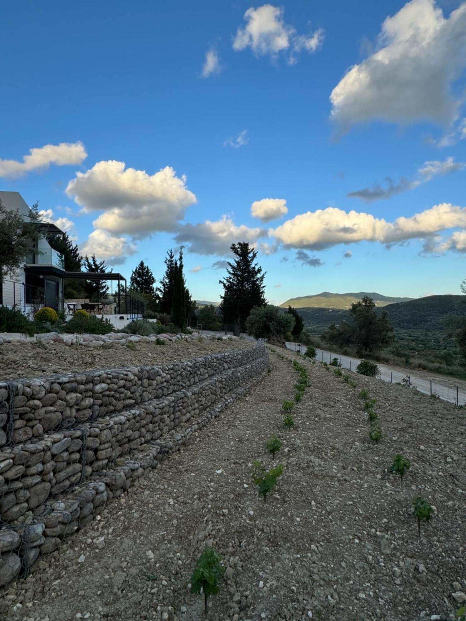 Vasiliki Houses Vasilikí