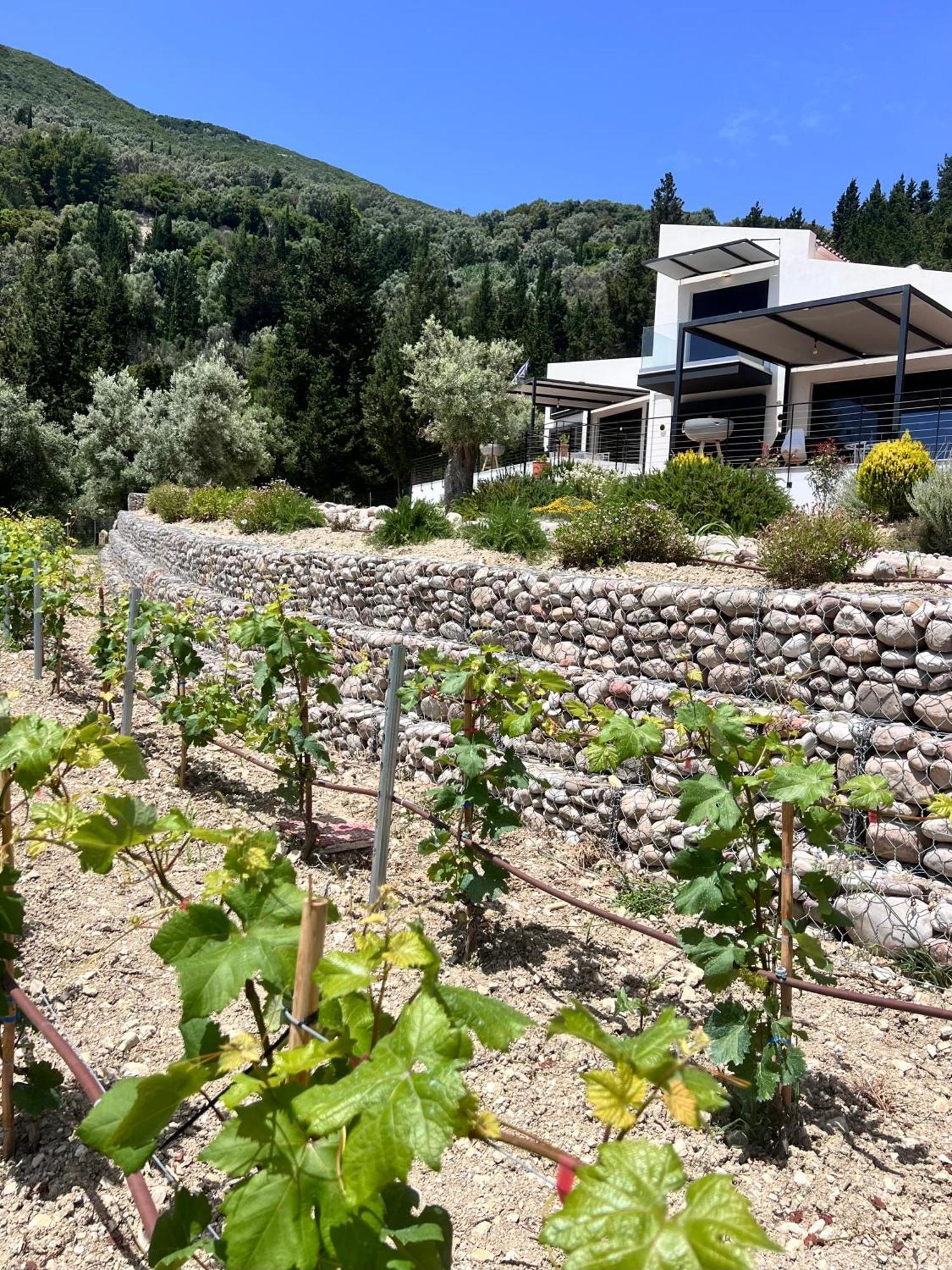 Сasa de vacaciones Vasiliki Houses