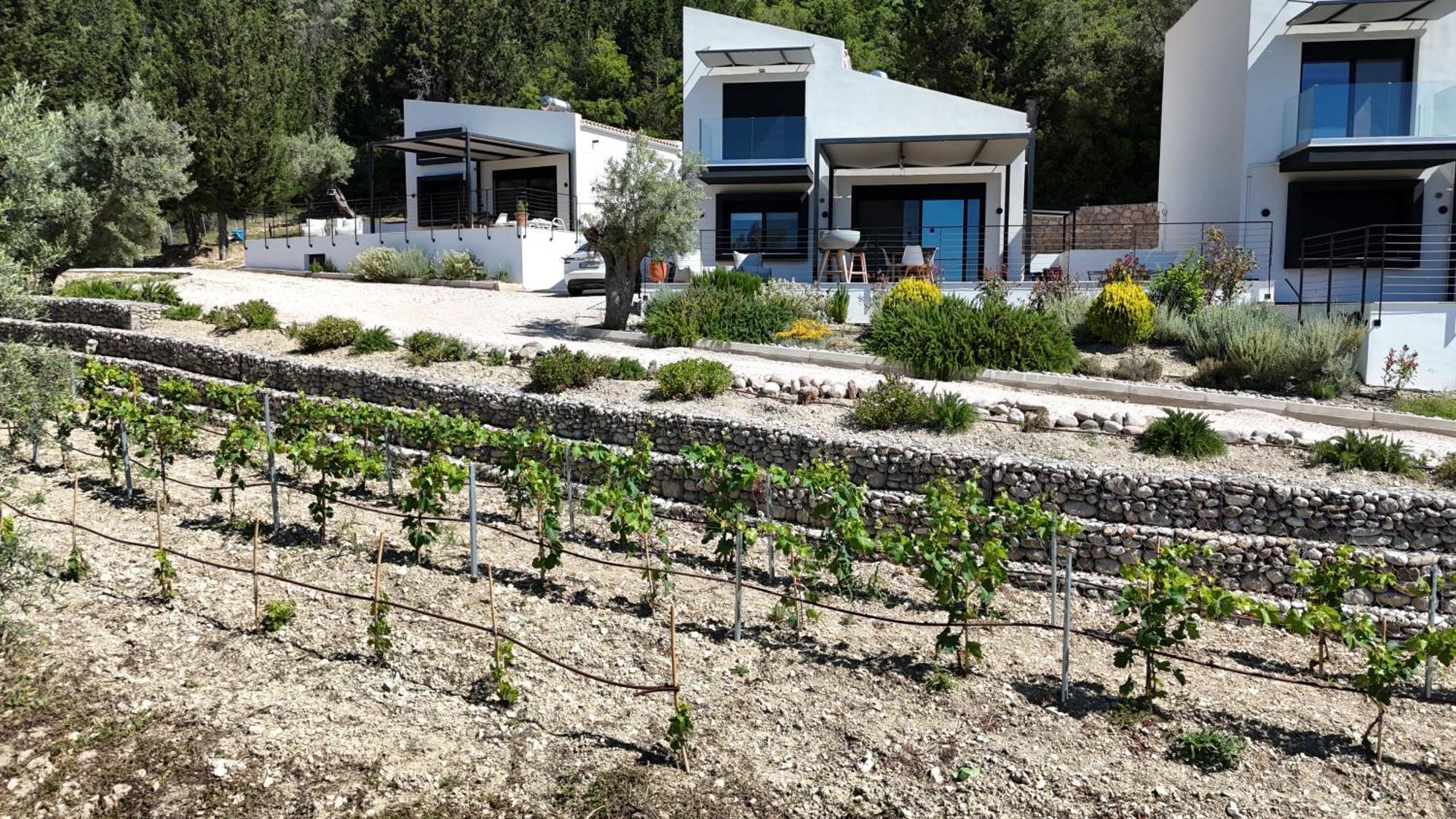 Vasiliki Houses